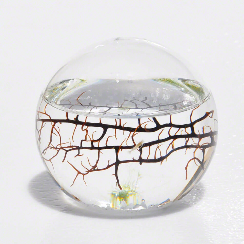 sticky EcoSphere Önfenntartó Ökoszisztéma (gömb alakú, fehér kaviccsal)