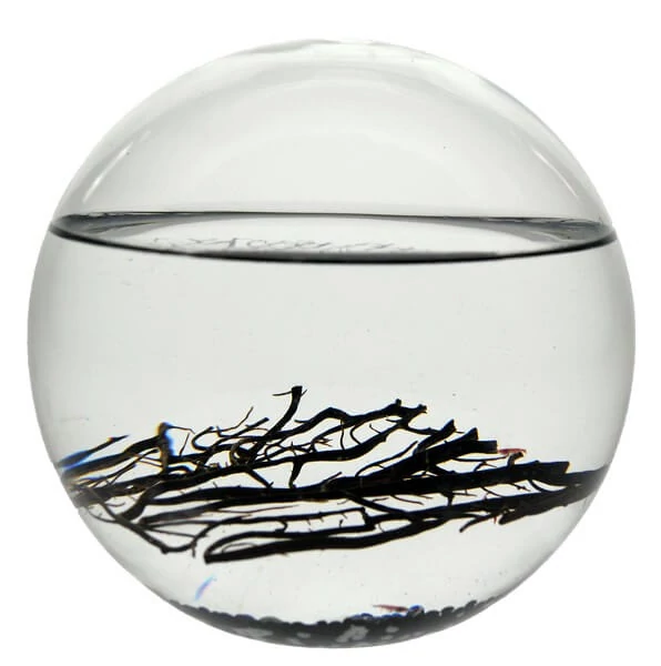 sticky EcoSphere Önfenntartó Ökoszisztéma (gömb alakú, fekete kaviccsal)