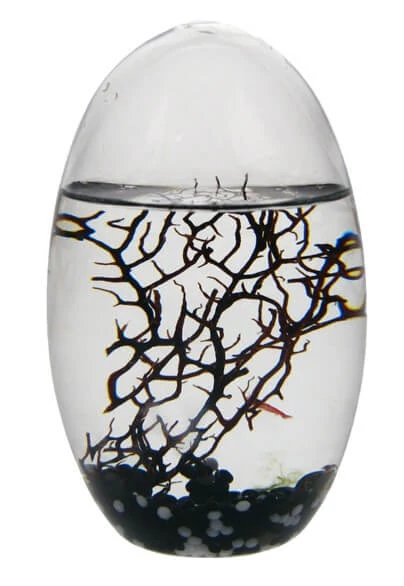 sticky EcoSphere Önfenntartó Ökoszisztéma (ovális, fekete kaviccsal)
