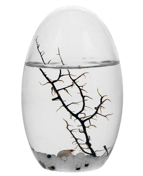 sticky EcoSphere Önfenntartó Ökoszisztéma (ovális, fehér kaviccsal)