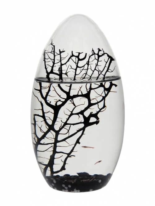 sticky EcoSphere Önfenntartó Ökoszisztéma (ovális, fekete kaviccsal)